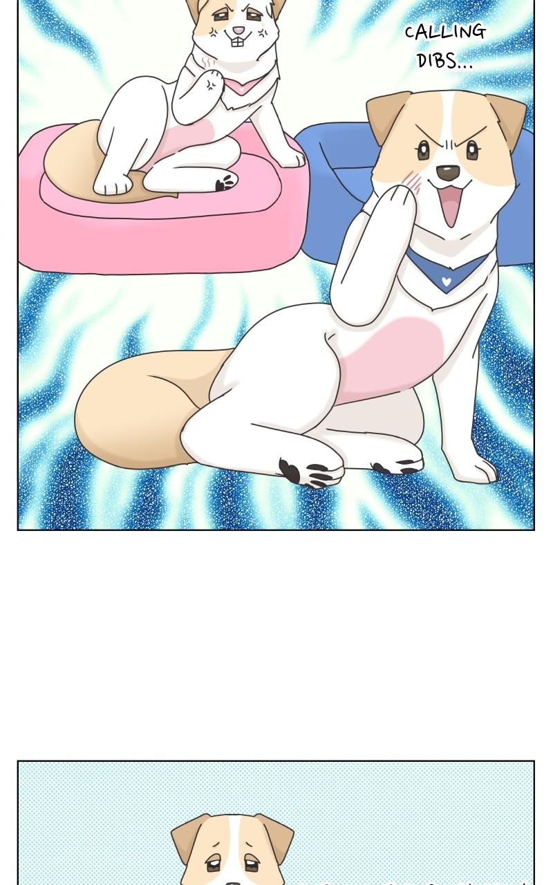 The Dog Diaries Chap 101 - Next Chap 102