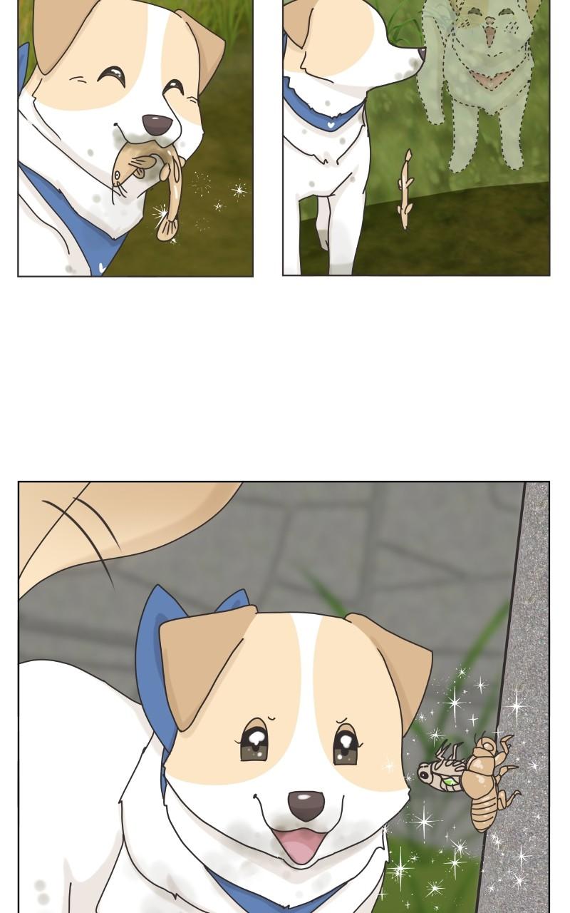 The Dog Diaries Chap 101 - Next Chap 102