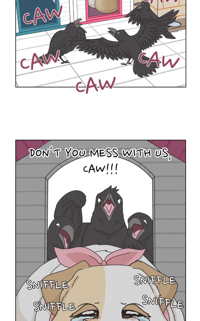 The Dog Diaries Chap 101 - Next Chap 102