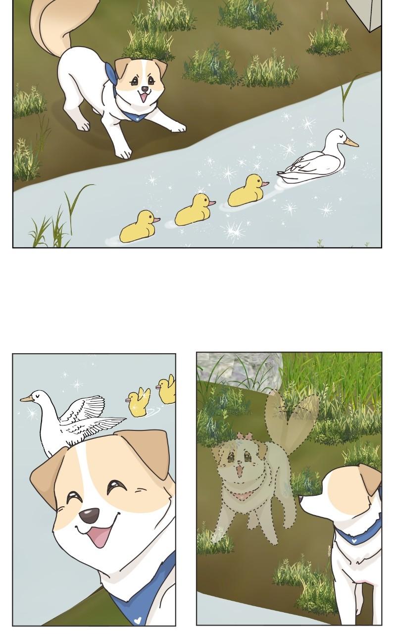 The Dog Diaries Chap 101 - Next Chap 102