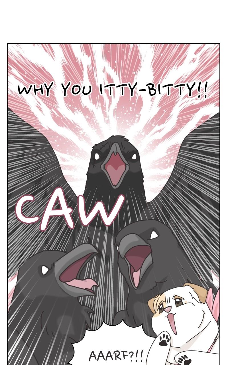 The Dog Diaries Chap 101 - Next Chap 102