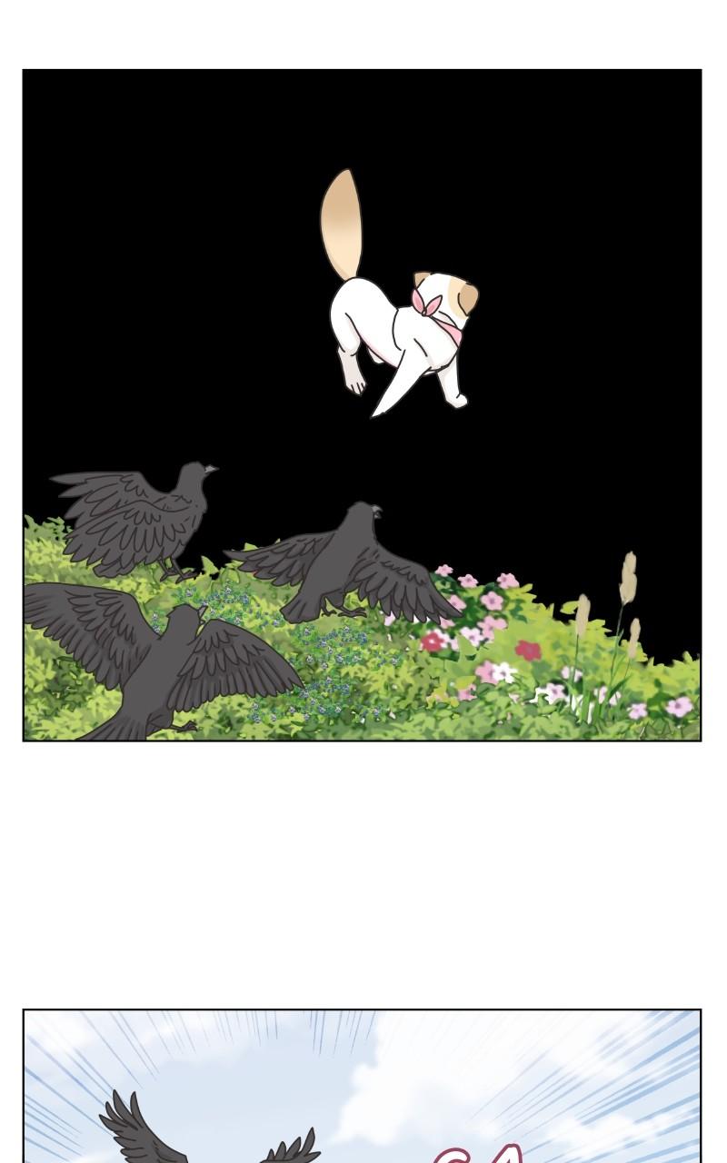 The Dog Diaries Chap 101 - Next Chap 102