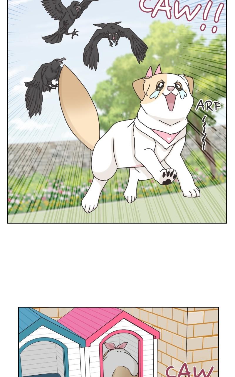 The Dog Diaries Chap 101 - Next Chap 102