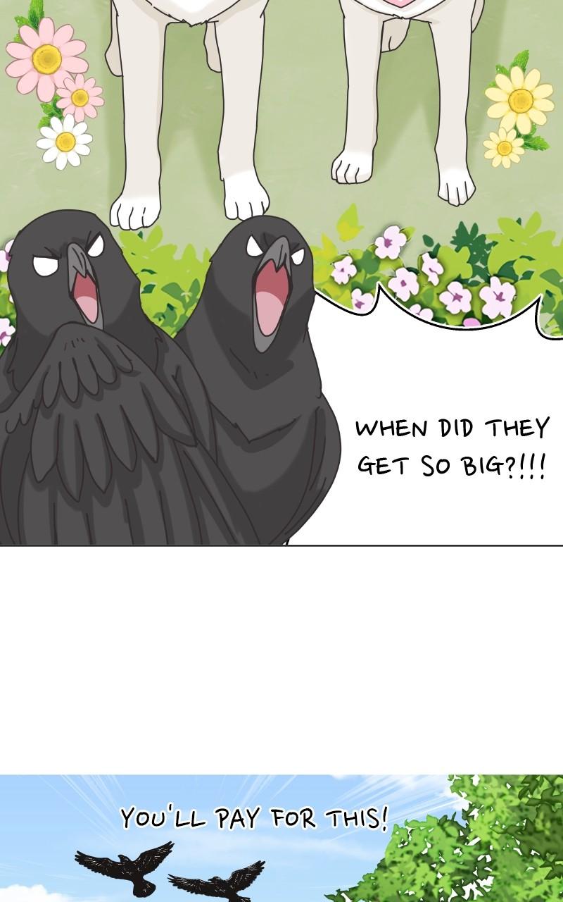 The Dog Diaries Chap 101 - Next Chap 102