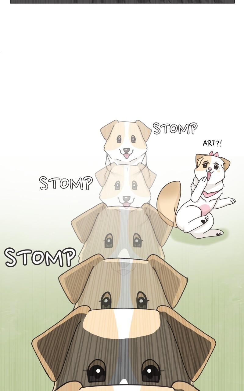 The Dog Diaries Chap 101 - Next Chap 102