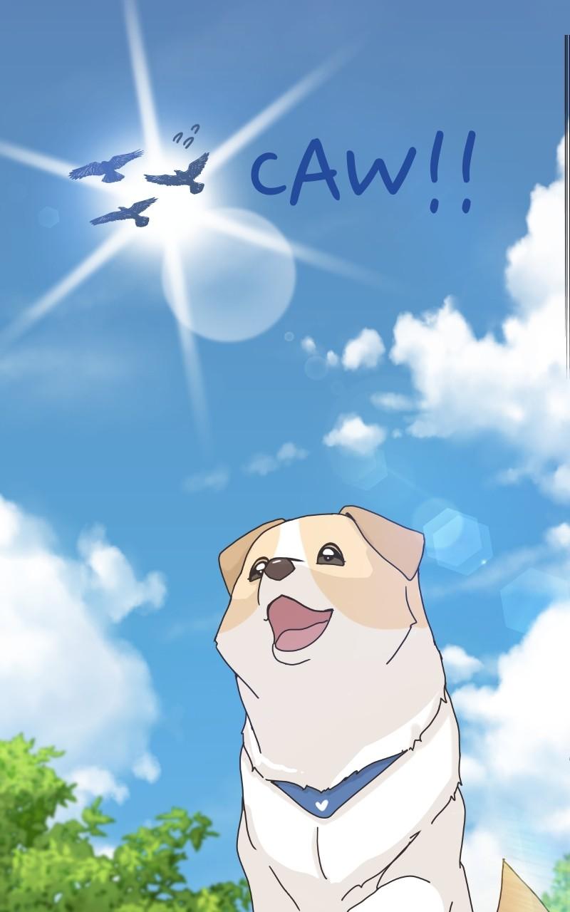The Dog Diaries Chap 101 - Next Chap 102