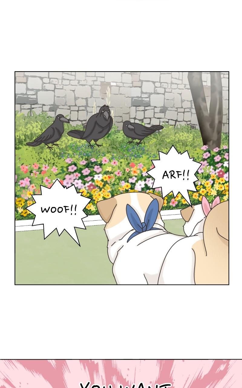 The Dog Diaries Chap 101 - Next Chap 102