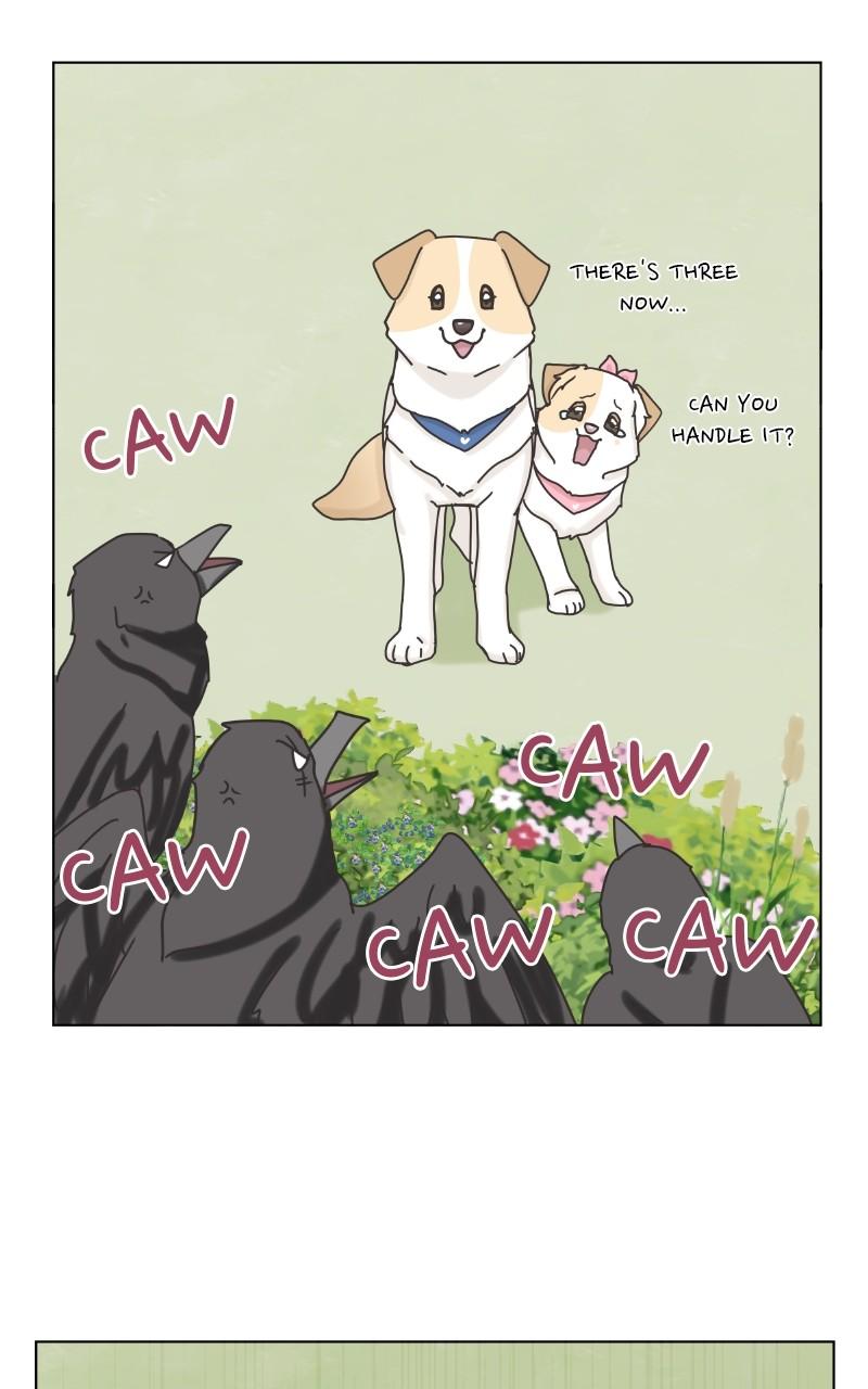 The Dog Diaries Chap 101 - Next Chap 102