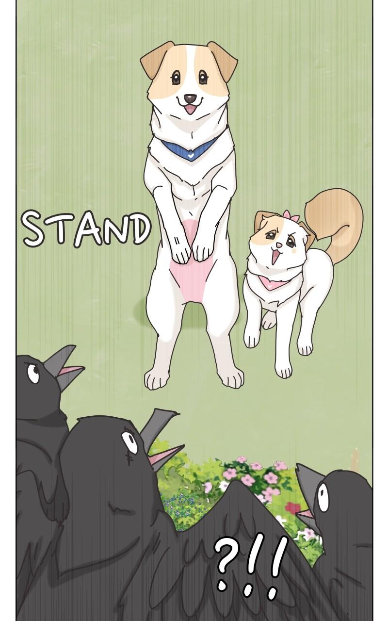 The Dog Diaries Chap 101 - Next Chap 102