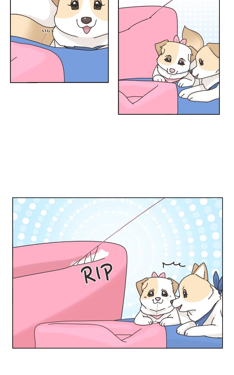 The Dog Diaries Chap 101 - Next Chap 102