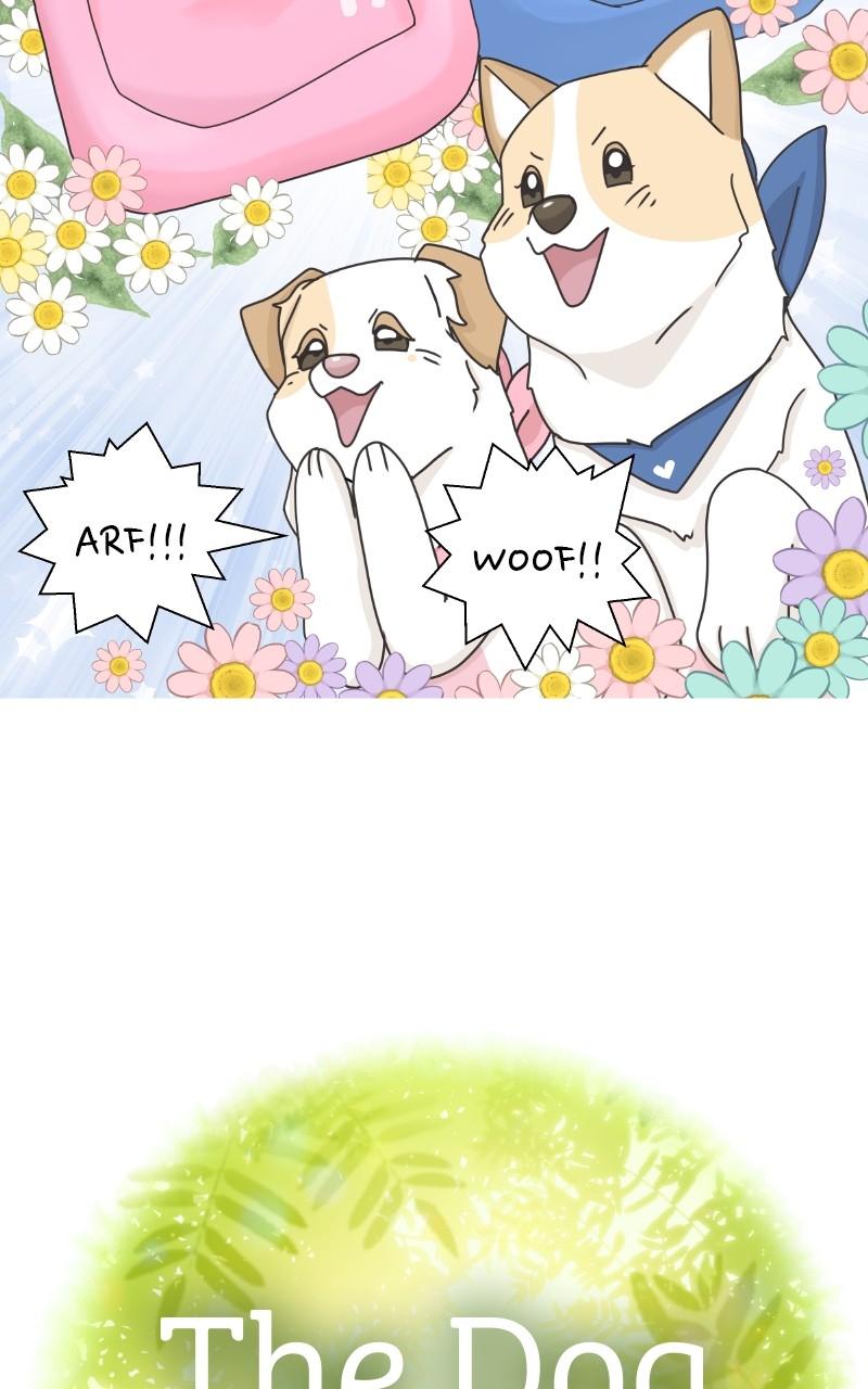 The Dog Diaries Chap 101 - Next Chap 102