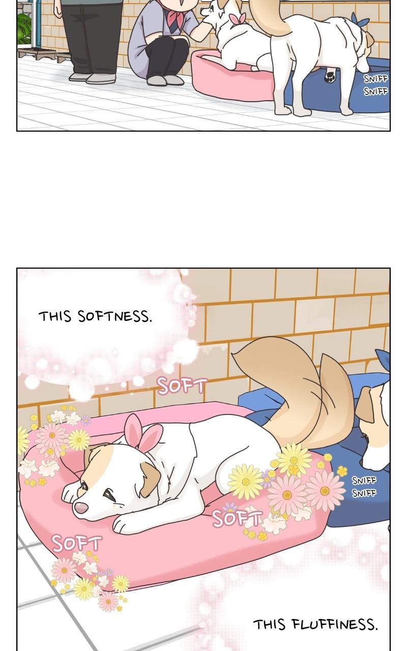 The Dog Diaries Chap 101 - Next Chap 102