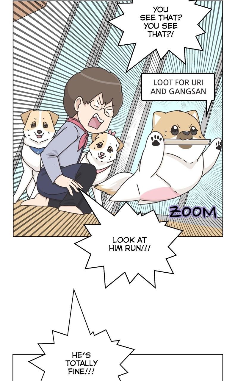 The Dog Diaries Chap 115 - Next Chap 116