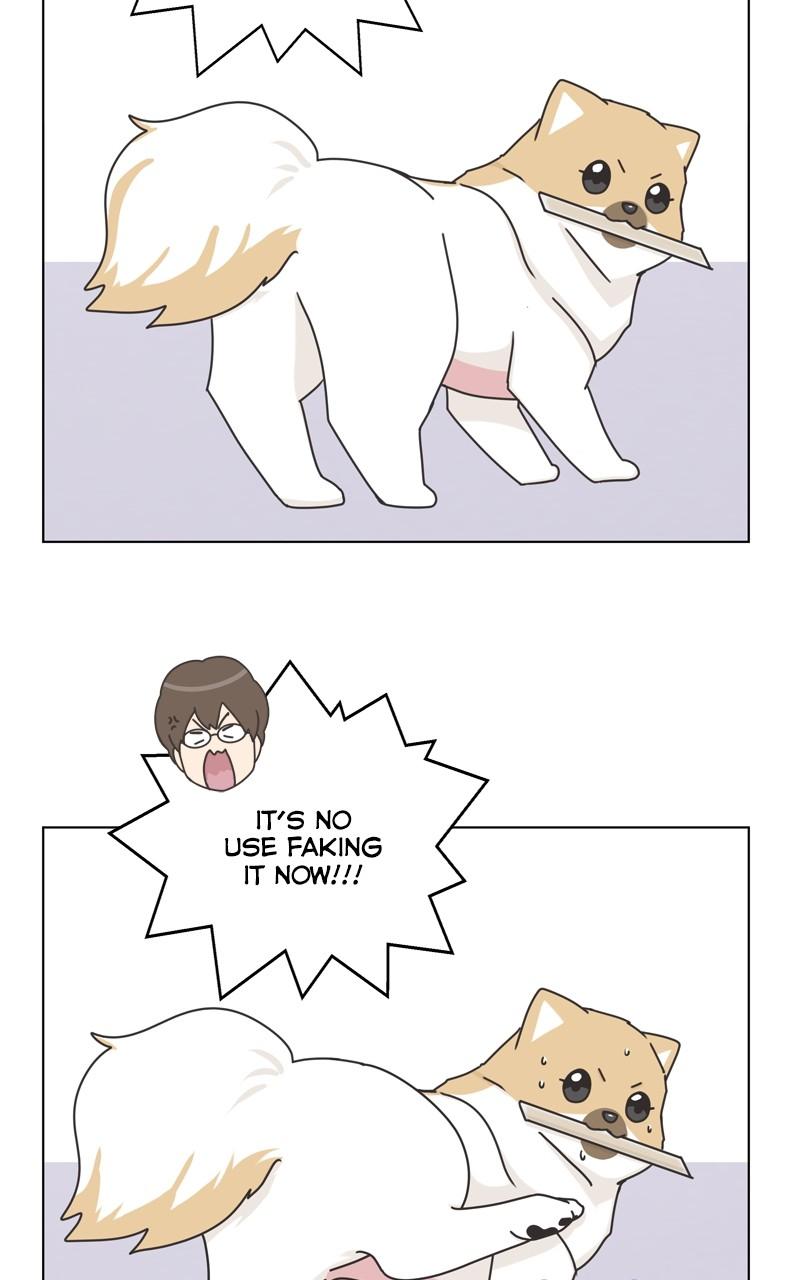 The Dog Diaries Chap 115 - Next Chap 116