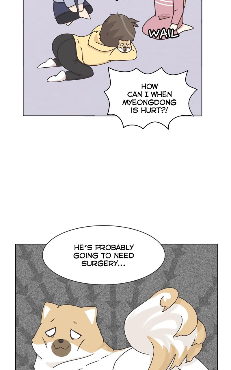 The Dog Diaries Chap 115 - Next Chap 116