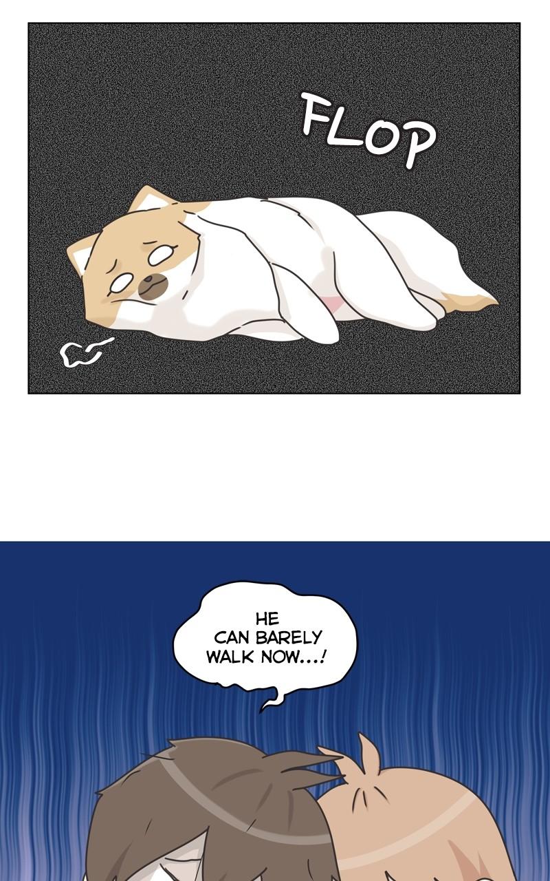 The Dog Diaries Chap 115 - Next Chap 116