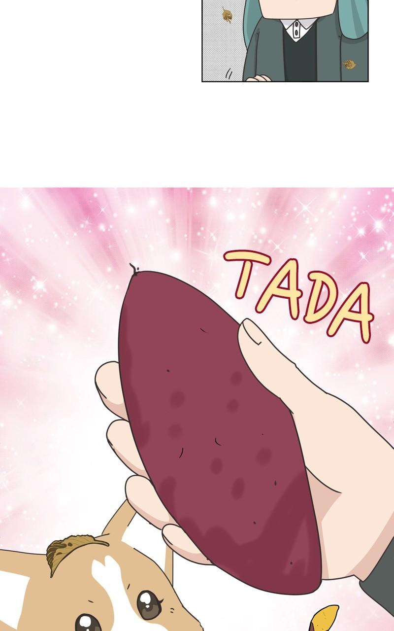 The Dog Diaries Chap 115 - Next Chap 116