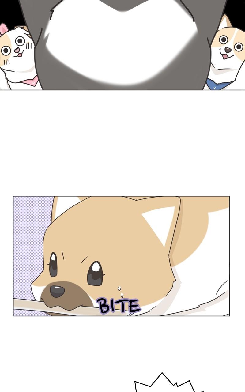 The Dog Diaries Chap 115 - Next Chap 116