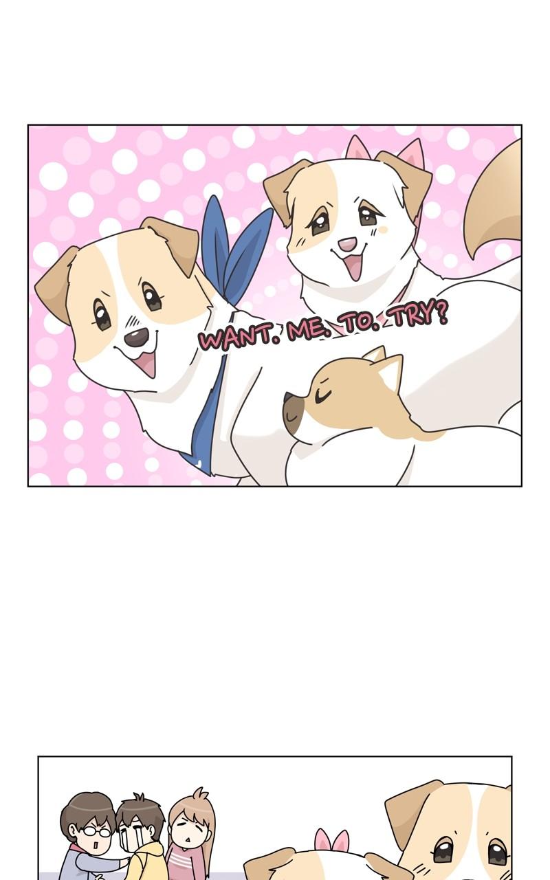 The Dog Diaries Chap 115 - Next Chap 116