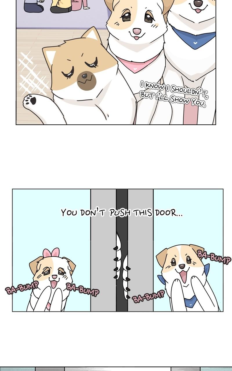 The Dog Diaries Chap 115 - Next Chap 116