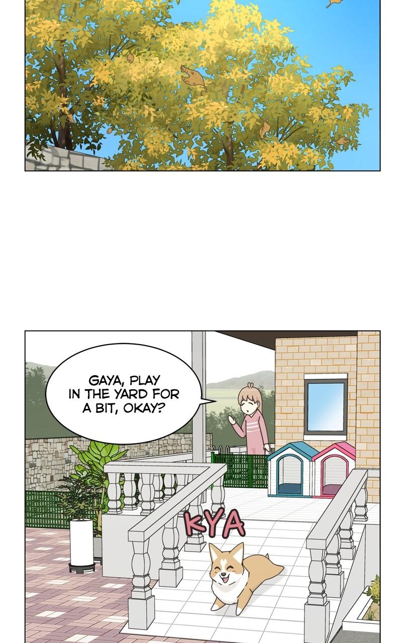 The Dog Diaries Chap 115 - Next Chap 116