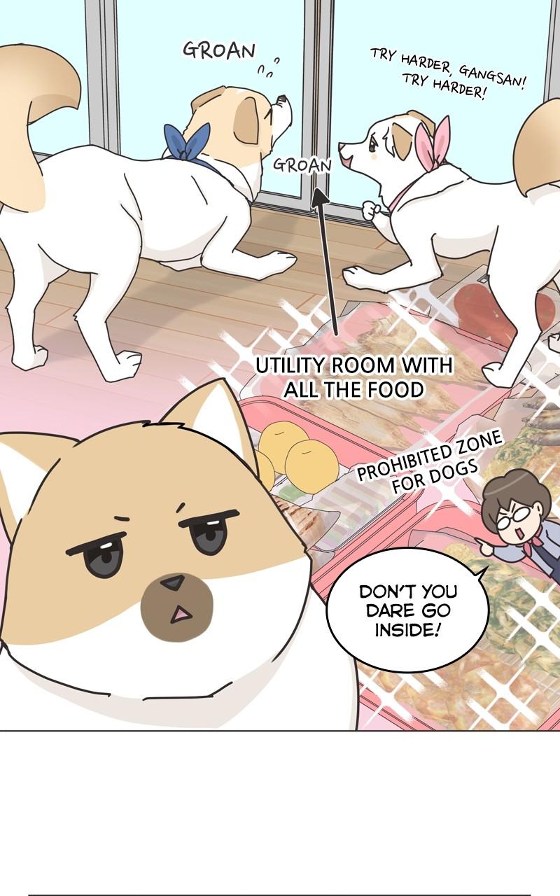 The Dog Diaries Chap 115 - Next Chap 116