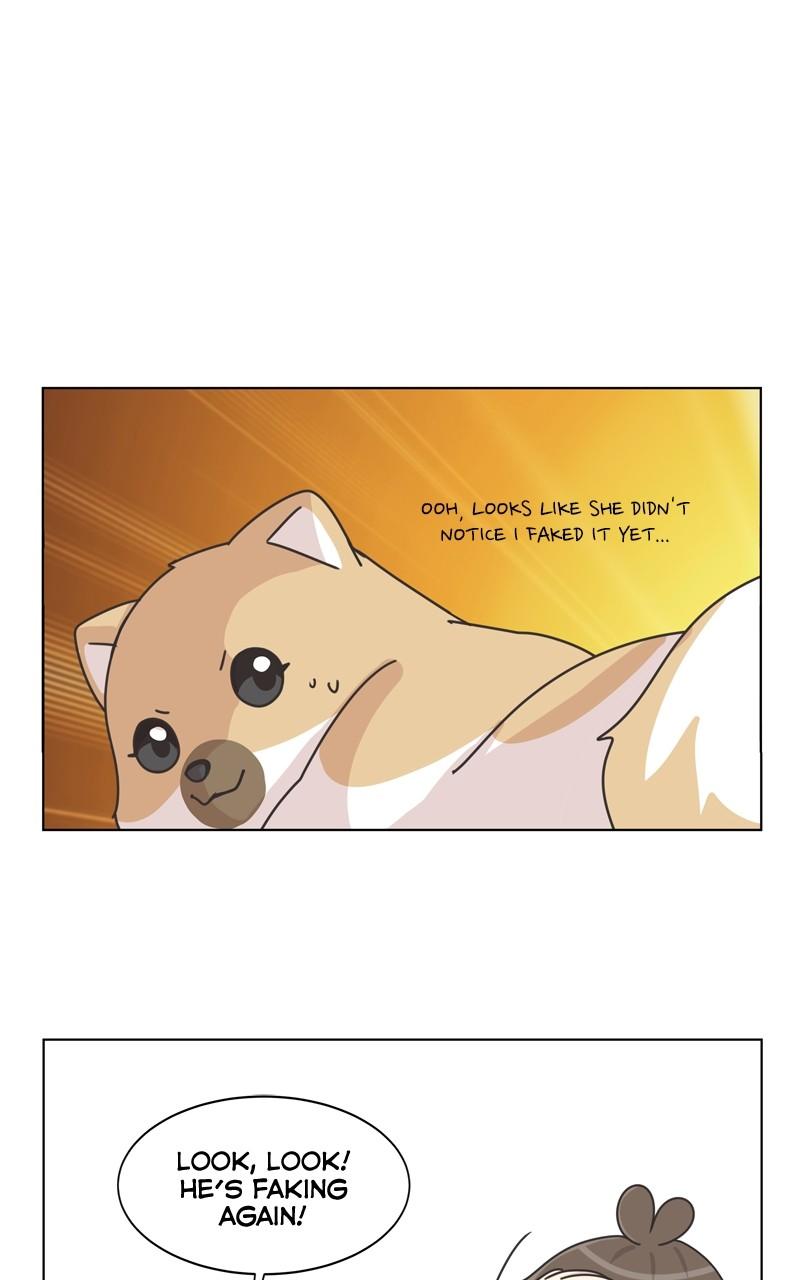 The Dog Diaries Chap 115 - Next Chap 116