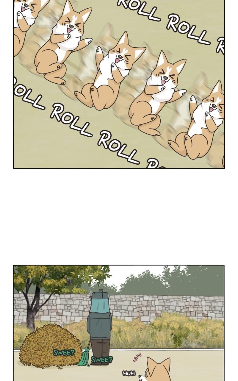 The Dog Diaries Chap 115 - Next Chap 116