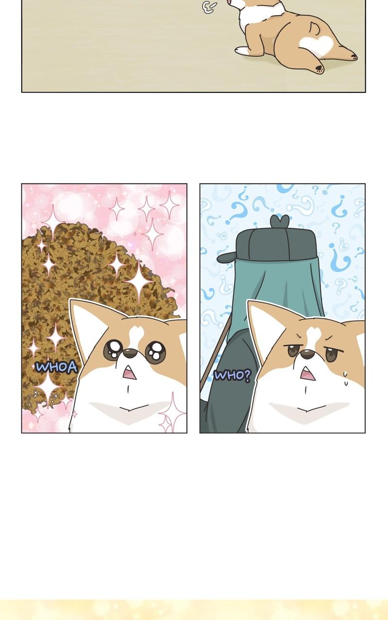 The Dog Diaries Chap 115 - Next Chap 116