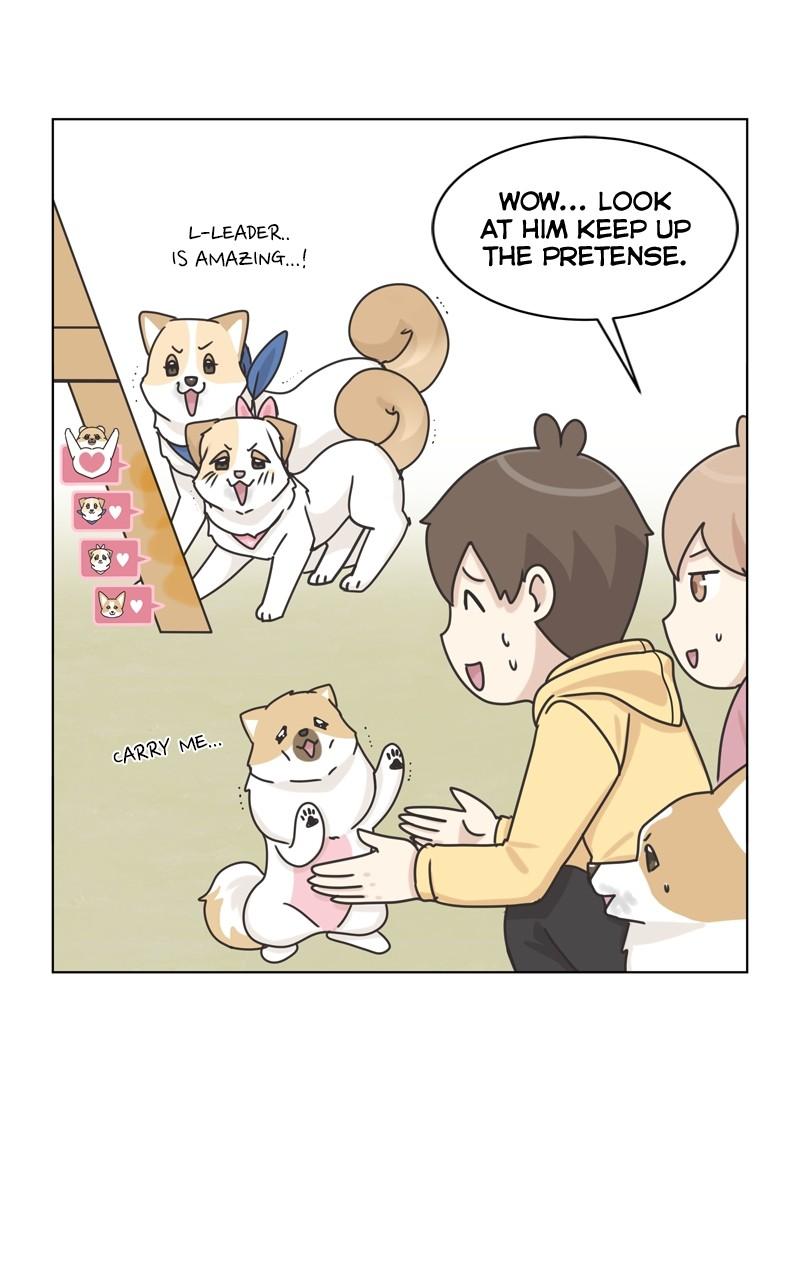 The Dog Diaries Chap 115 - Next Chap 116