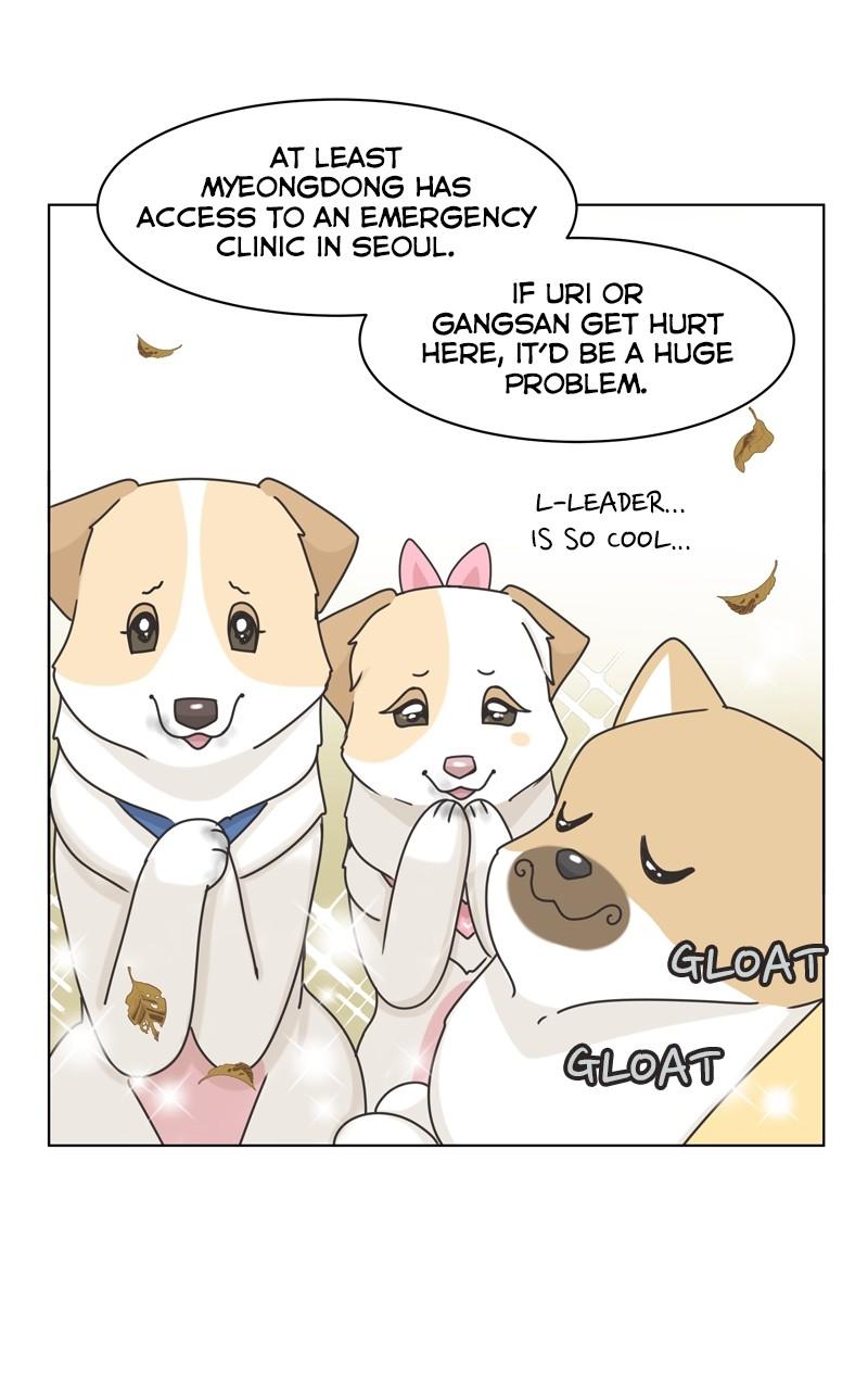The Dog Diaries Chap 115 - Next Chap 116