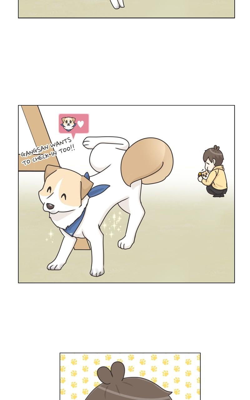 The Dog Diaries Chap 115 - Next Chap 116