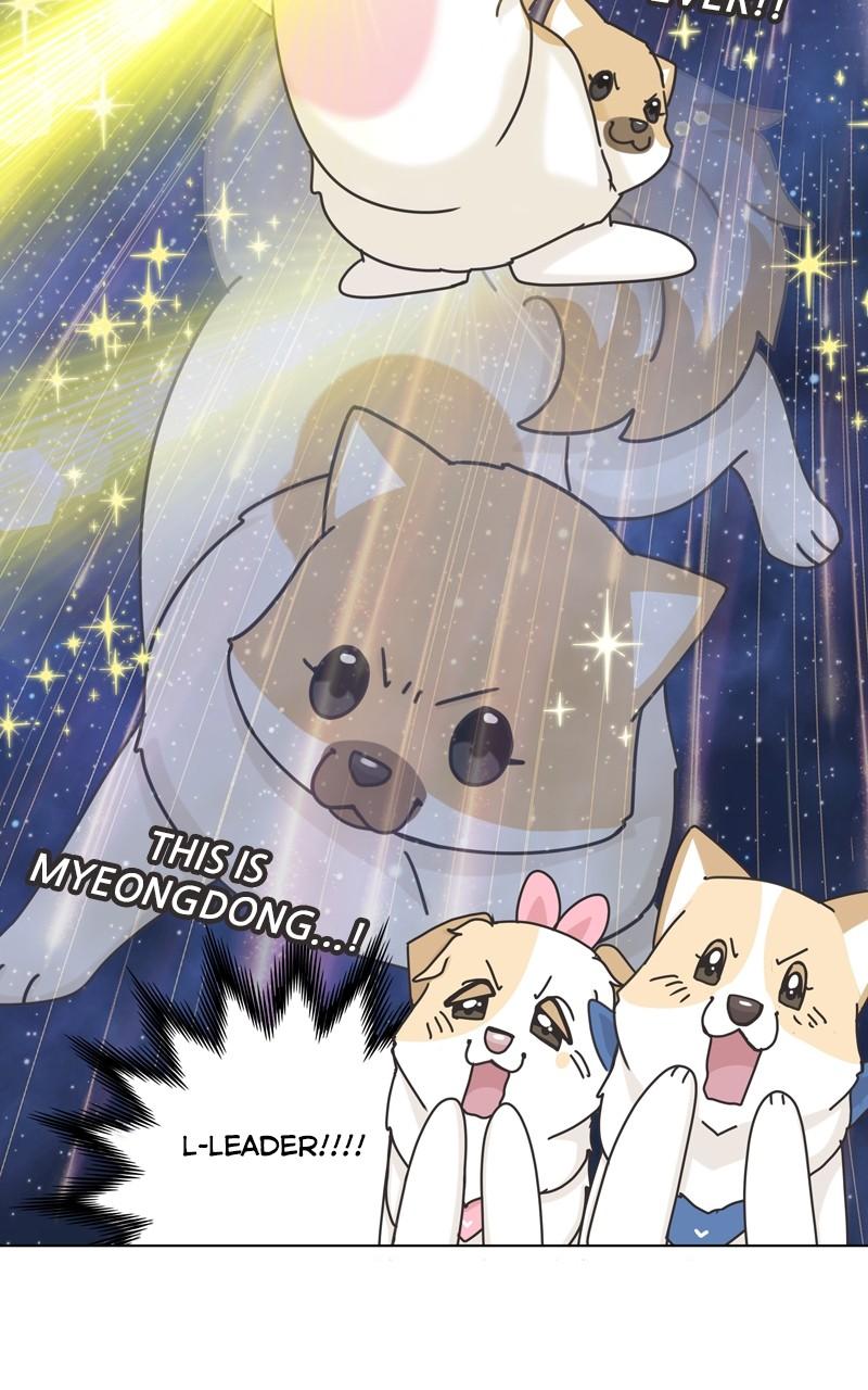 The Dog Diaries Chap 115 - Next Chap 116