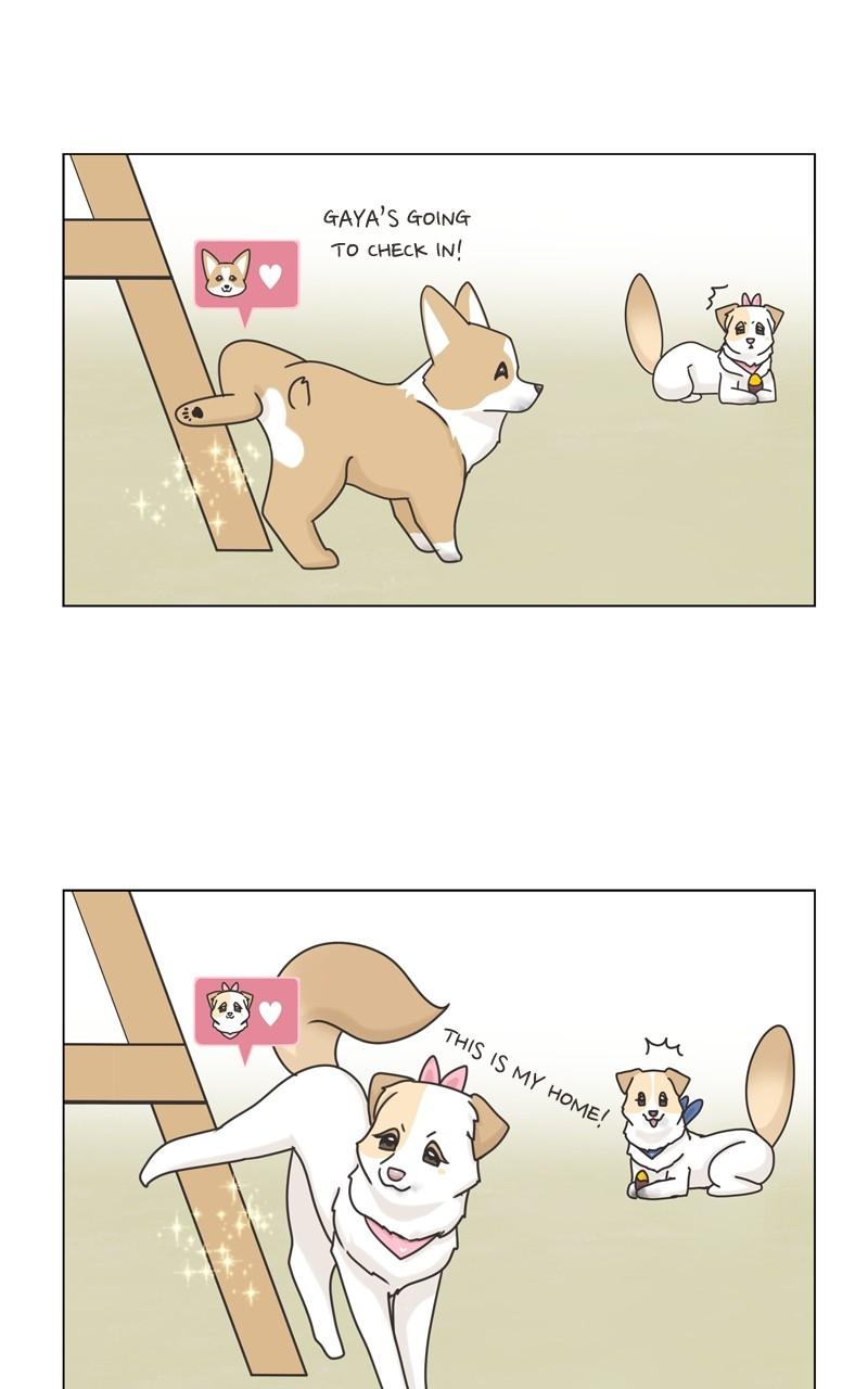 The Dog Diaries Chap 115 - Next Chap 116