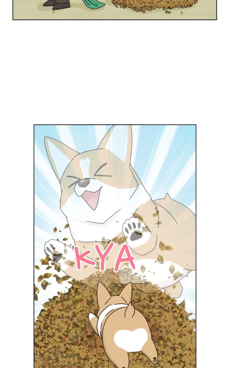 The Dog Diaries Chap 115 - Next Chap 116