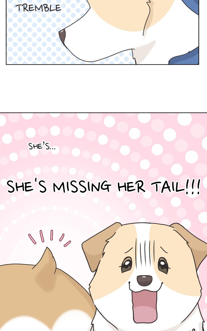 The Dog Diaries Chap 112 - Next Chap 113
