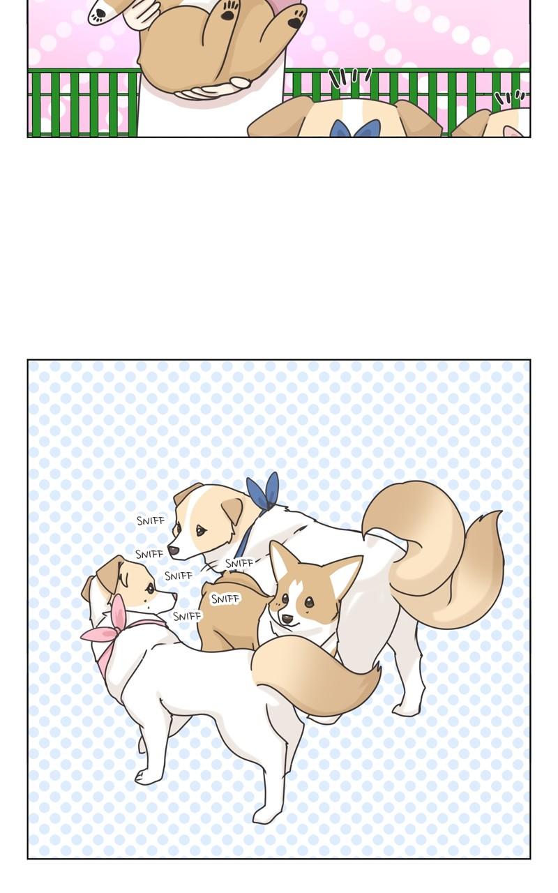 The Dog Diaries Chap 112 - Next Chap 113