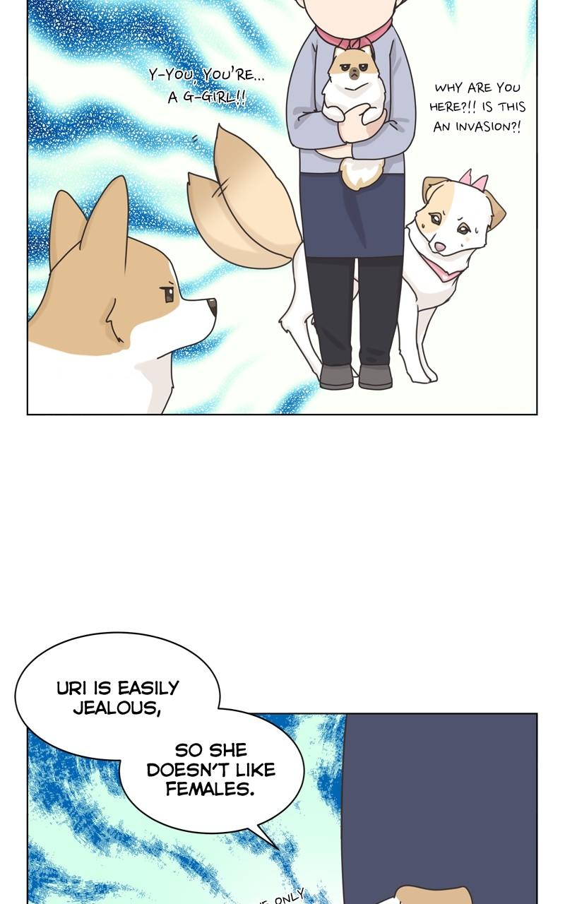 The Dog Diaries Chap 112 - Next Chap 113