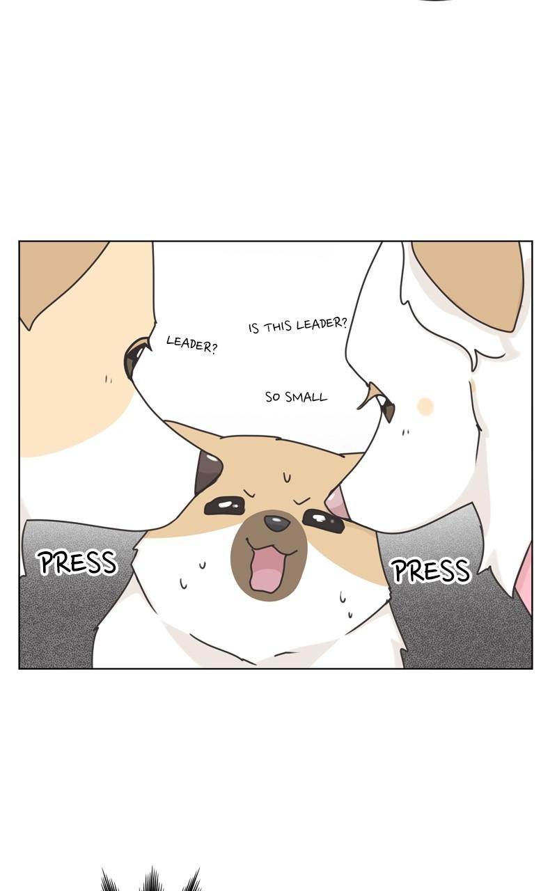 The Dog Diaries Chap 112 - Next Chap 113