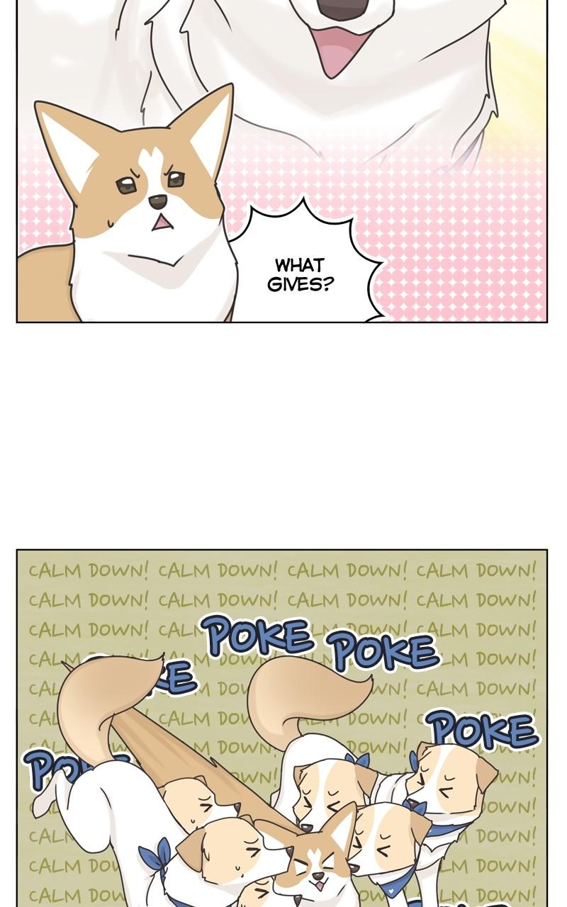 The Dog Diaries Chap 112 - Next Chap 113