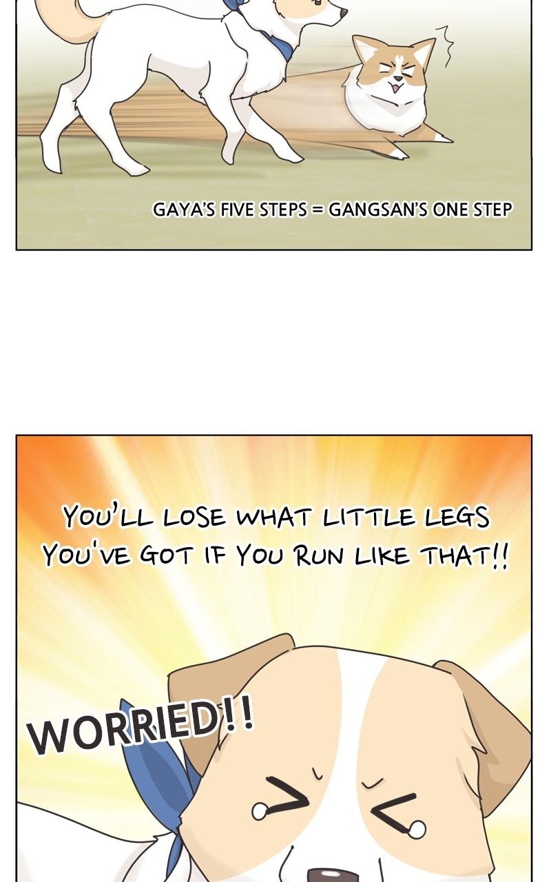 The Dog Diaries Chap 112 - Next Chap 113