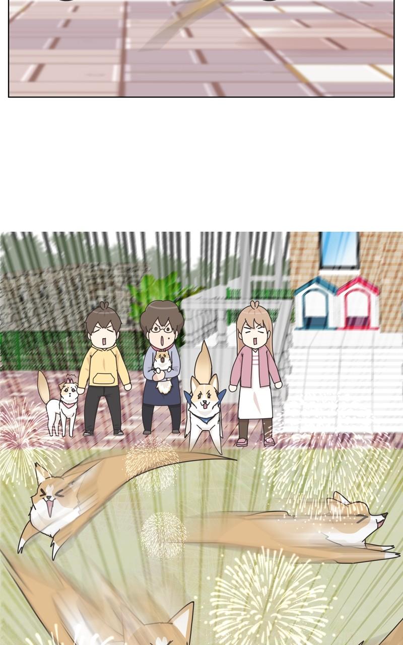 The Dog Diaries Chap 112 - Next Chap 113