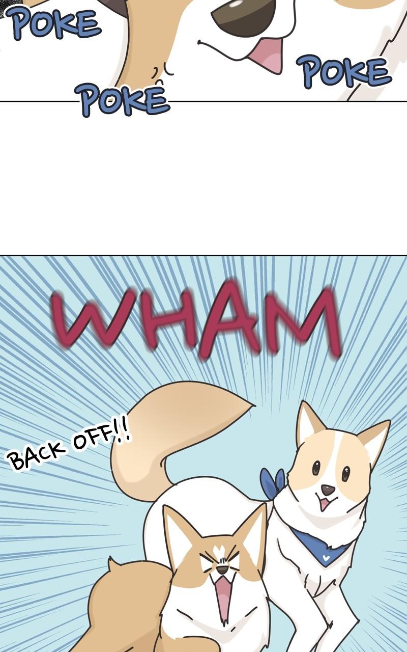 The Dog Diaries Chap 112 - Next Chap 113