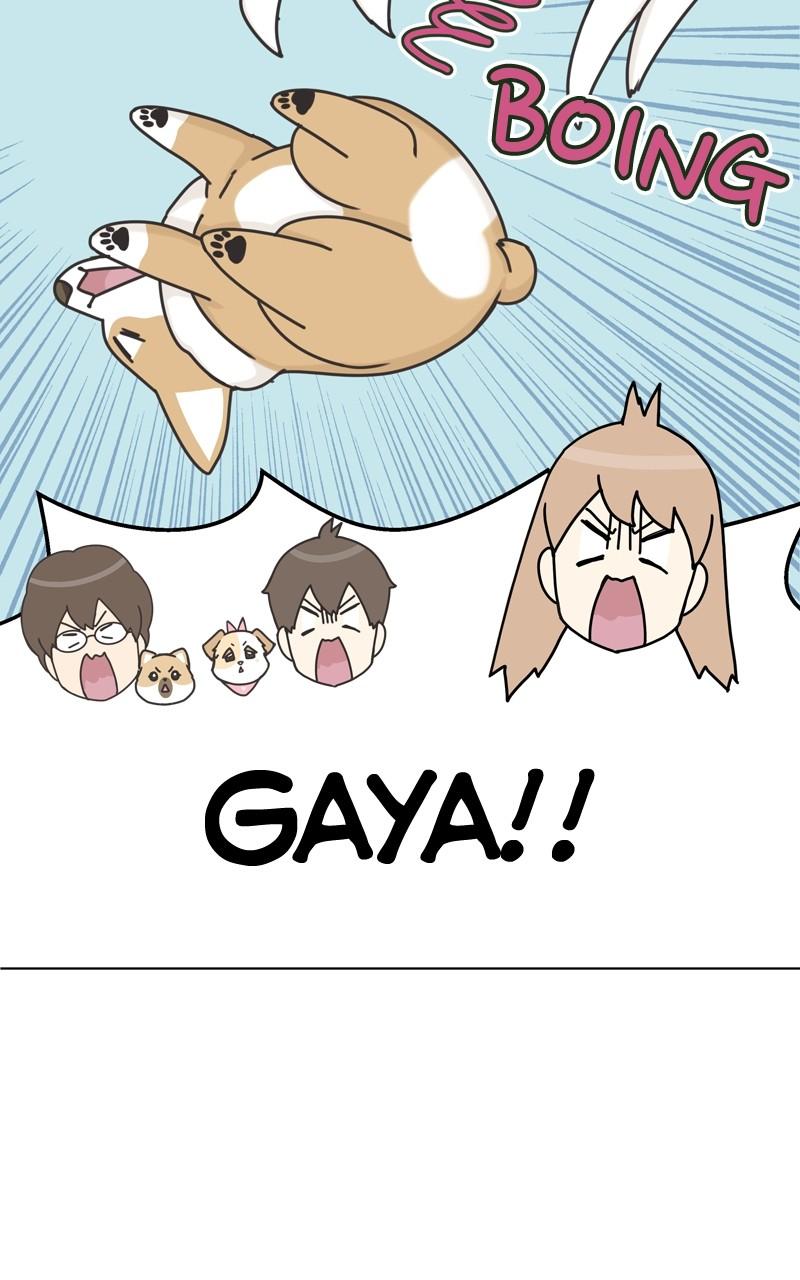 The Dog Diaries Chap 112 - Next Chap 113