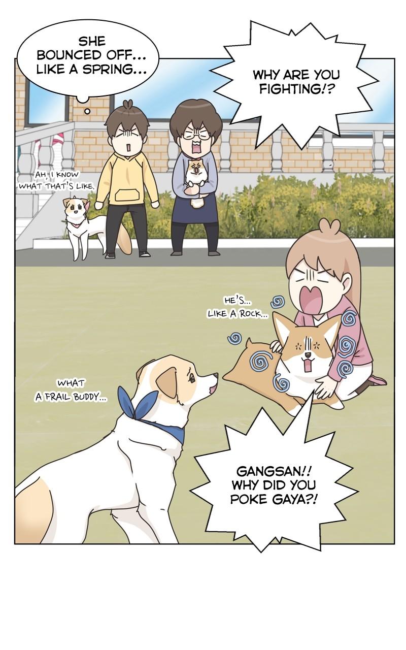 The Dog Diaries Chap 112 - Next Chap 113