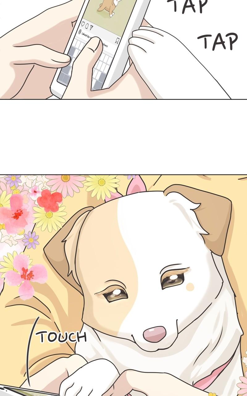 The Dog Diaries Chap 112 - Next Chap 113