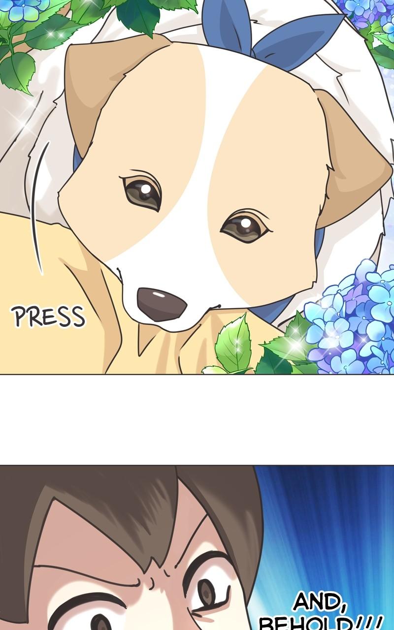 The Dog Diaries Chap 112 - Next Chap 113