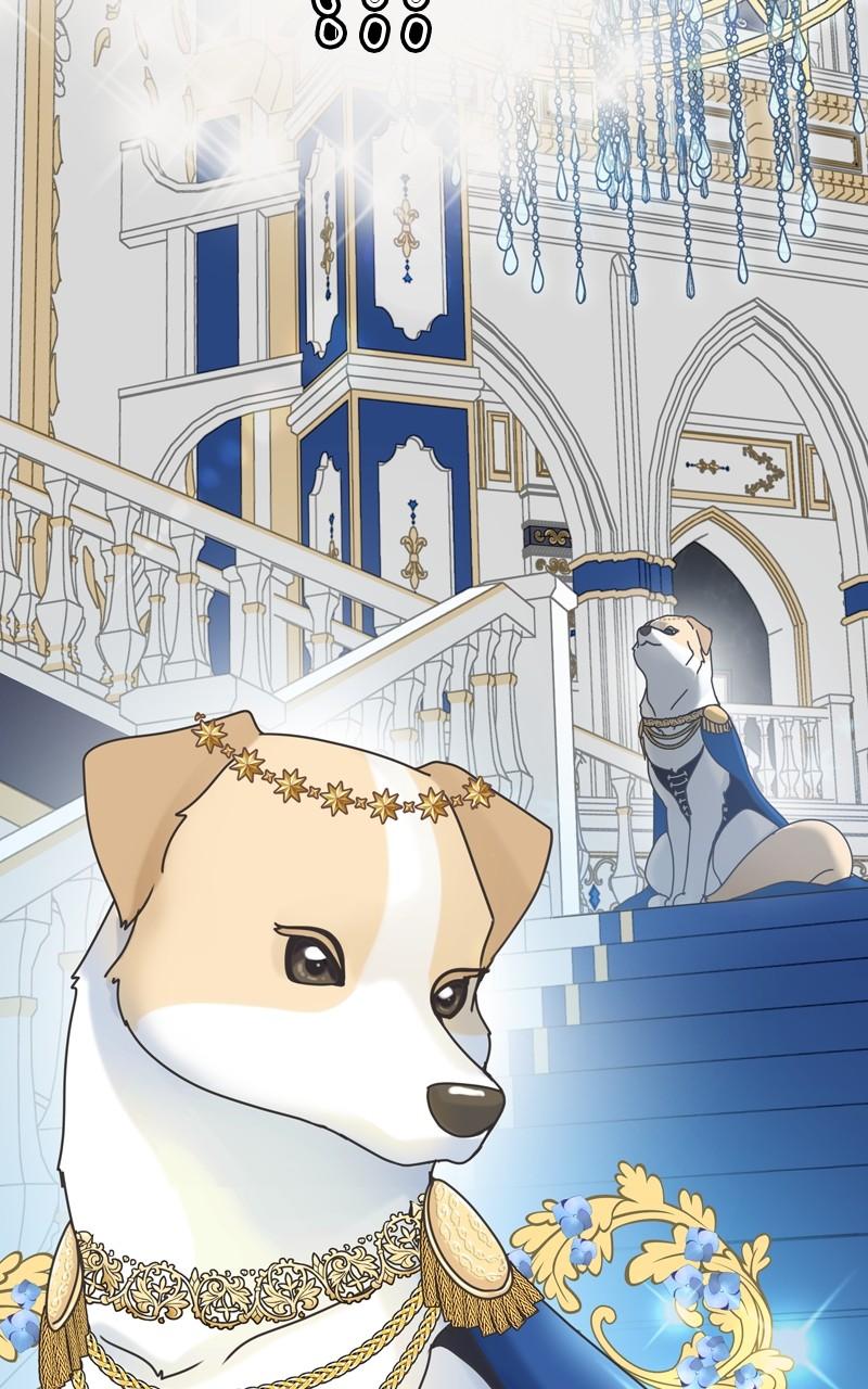 The Dog Diaries Chap 112 - Next Chap 113