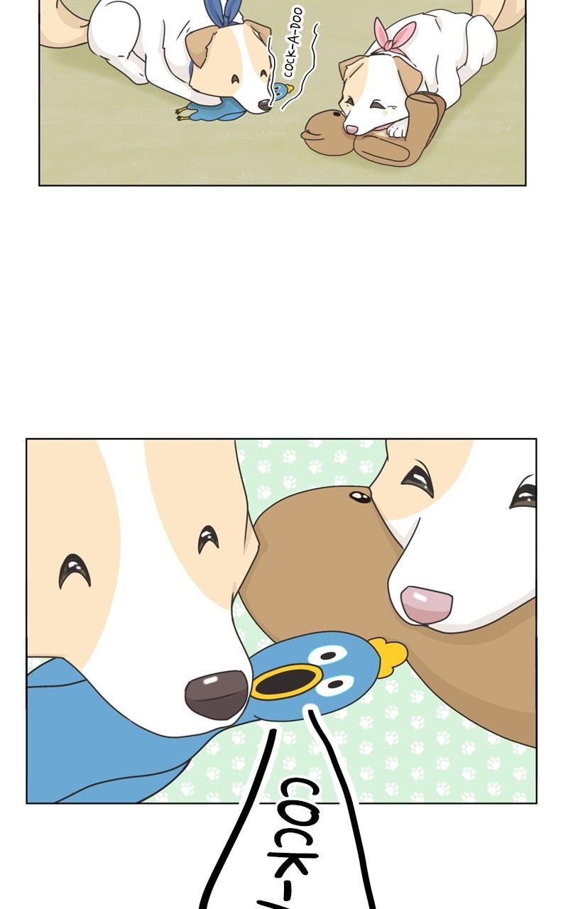 The Dog Diaries Chap 113 - Next Chap 114