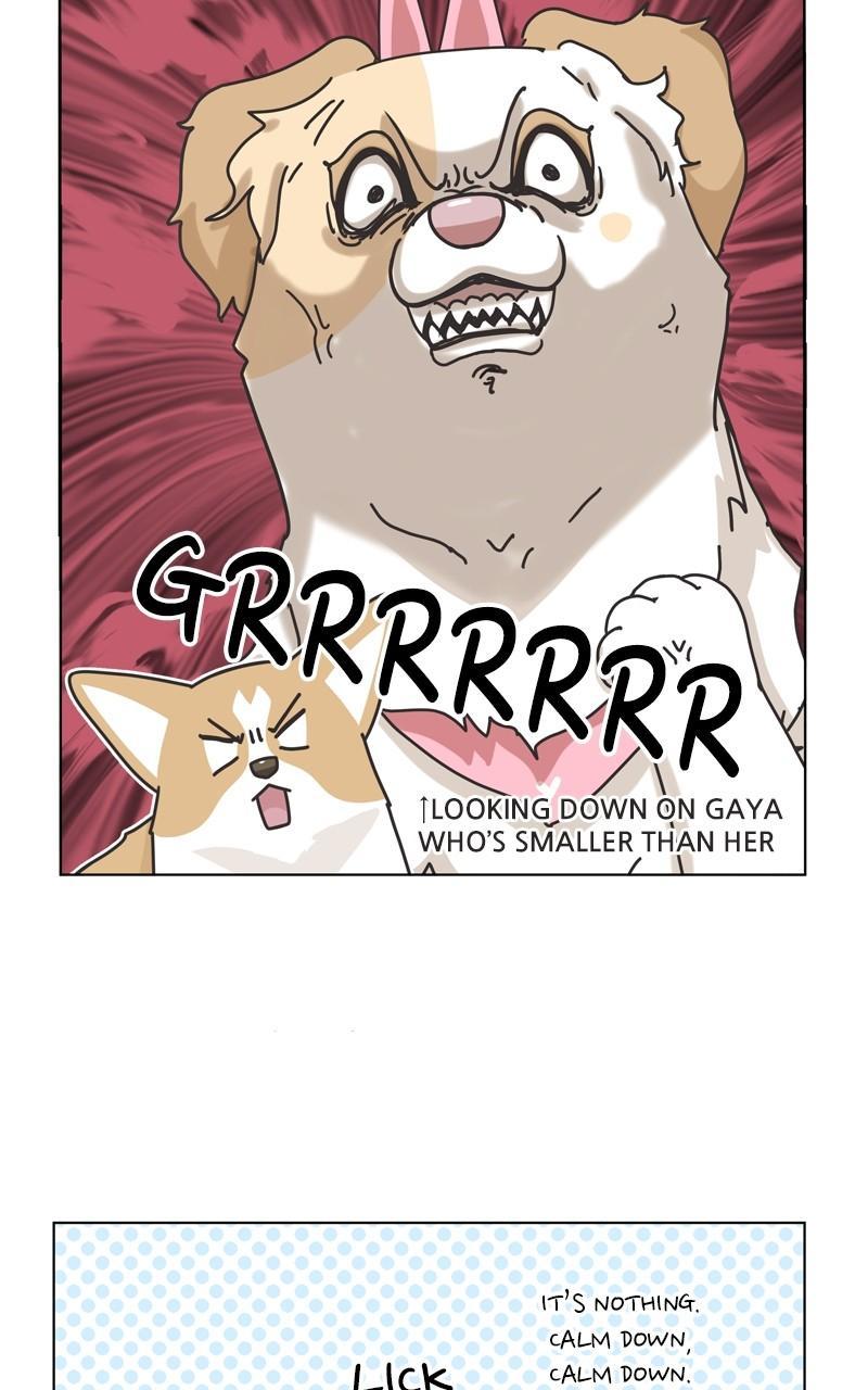 The Dog Diaries Chap 113 - Next Chap 114